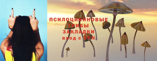 шишки Дмитровск