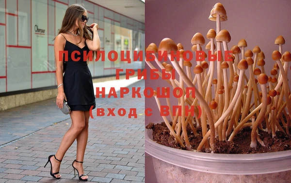 крисы Красноперекопск