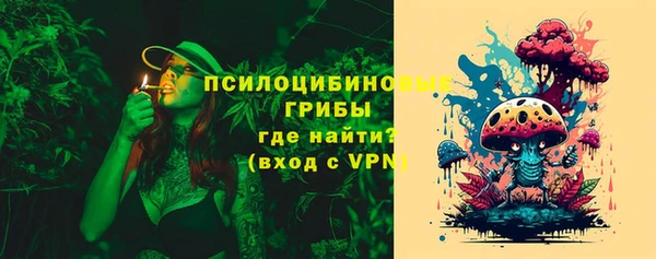 крисы Красноперекопск