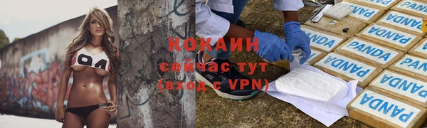 МДПВ Краснослободск