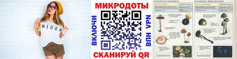 kraken tor  купить наркотики цена  Красный Холм  Псилоцибиновые грибы мухоморы 